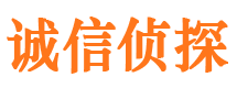 靖宇市私家侦探